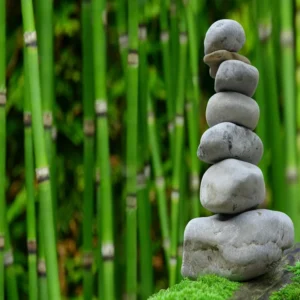 Curso de Mindfulness para el Bienestar Personal y Profesional